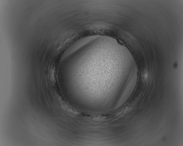 X0000089451060200707061238