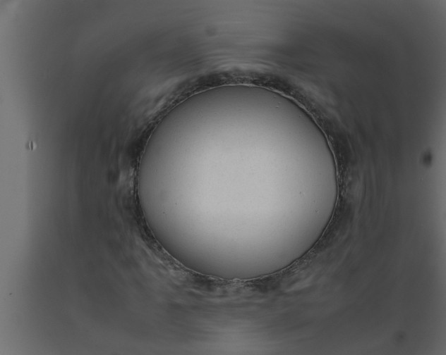 X0000089451061200707061238