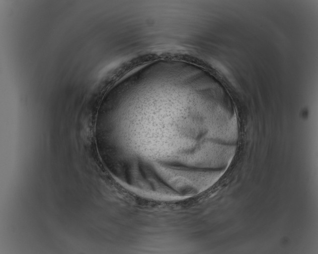 X0000089451063200707061238