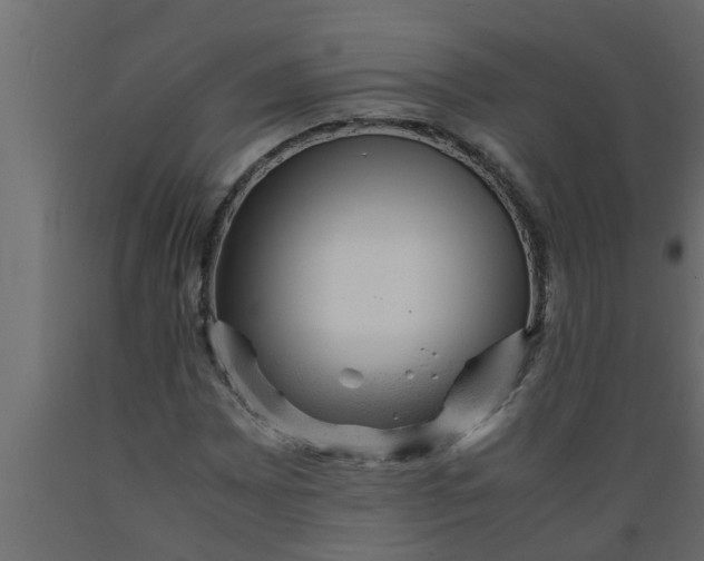 X0000089451065200707061238