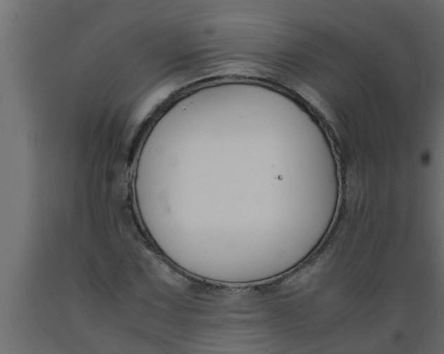 X0000089451067200707061238