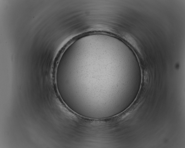 X0000089451068200707061238