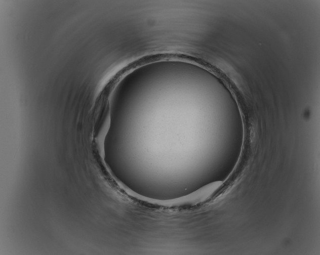 X0000089451069200707061238