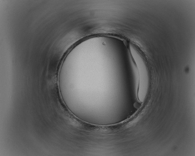 X0000089451073200707061238