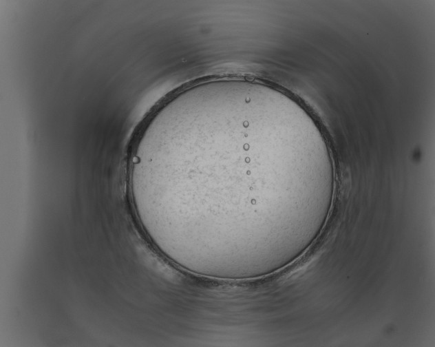 X0000089451075200707061238