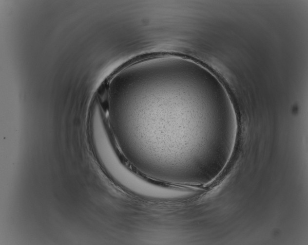 X0000089451077200707061238