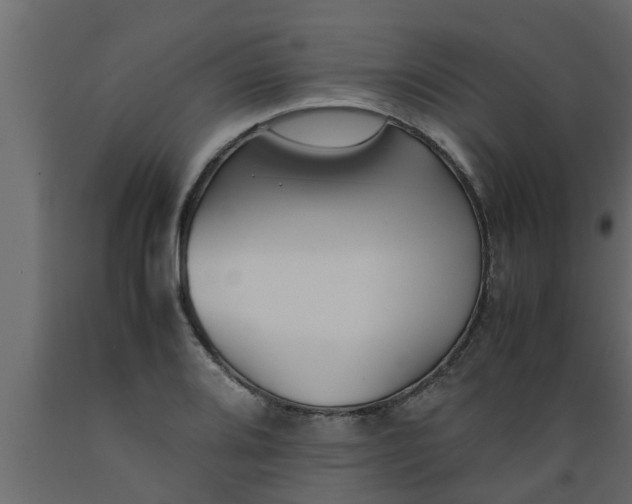 X0000089451080200707061238