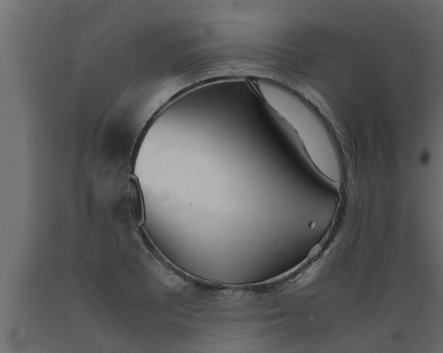 X0000089451081200707061238