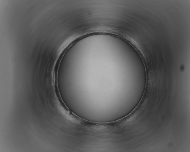 X0000089451082200707061238