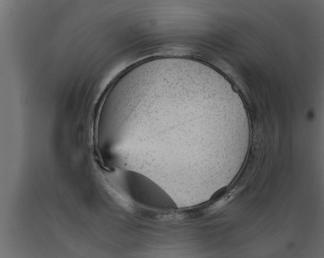 X0000089451083200707061238