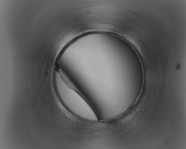 X0000089451085200707061237