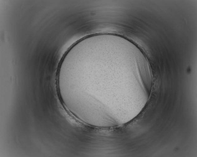 X0000089451086200707061237