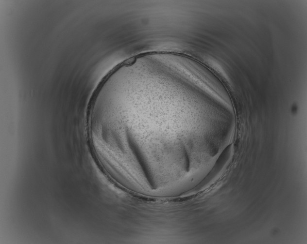 X0000089451087200707061237