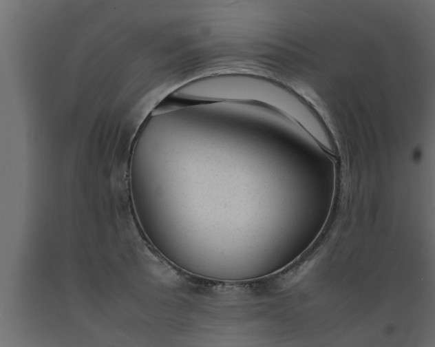 X0000089451089200707061237