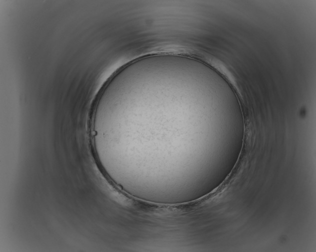 X0000089451091200707061237