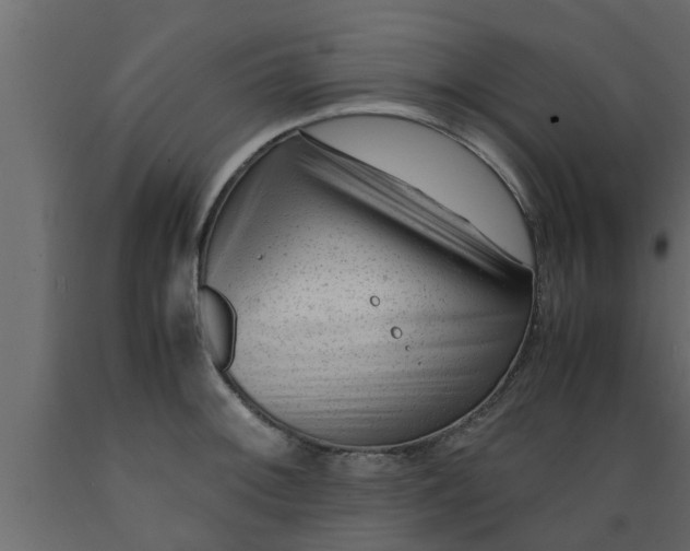 X0000089451092200707061237