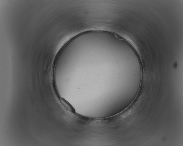 X0000089451093200707061237