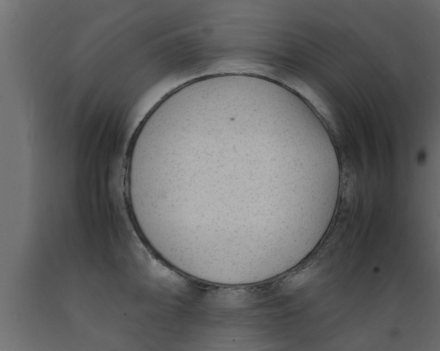 X0000089451094200707061237