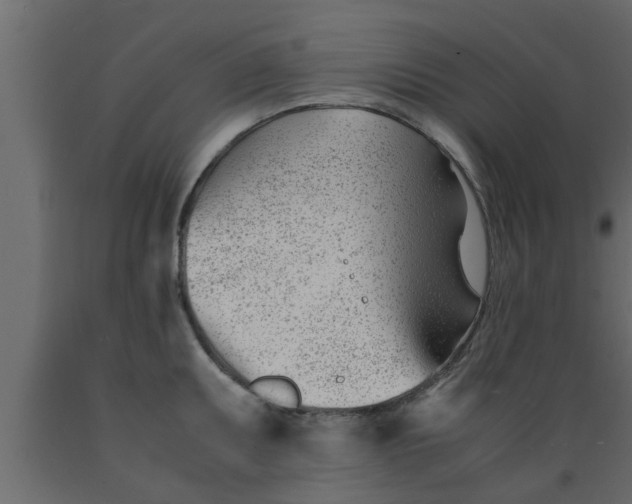 X0000089451095200707061237