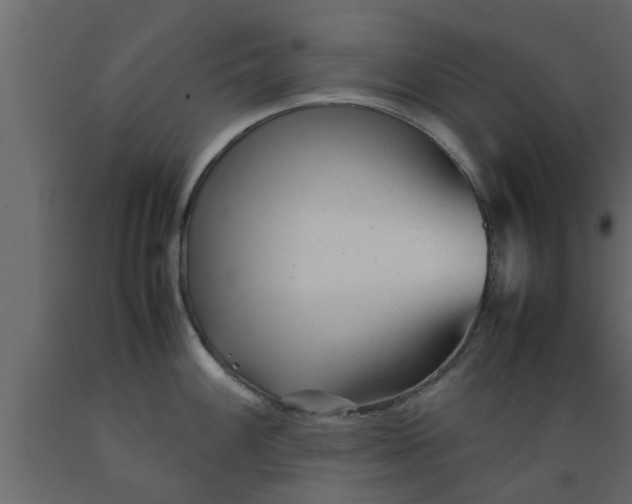 X0000089451100200707061237