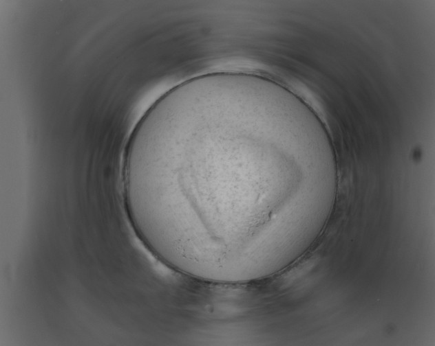 X0000089451103200707061237