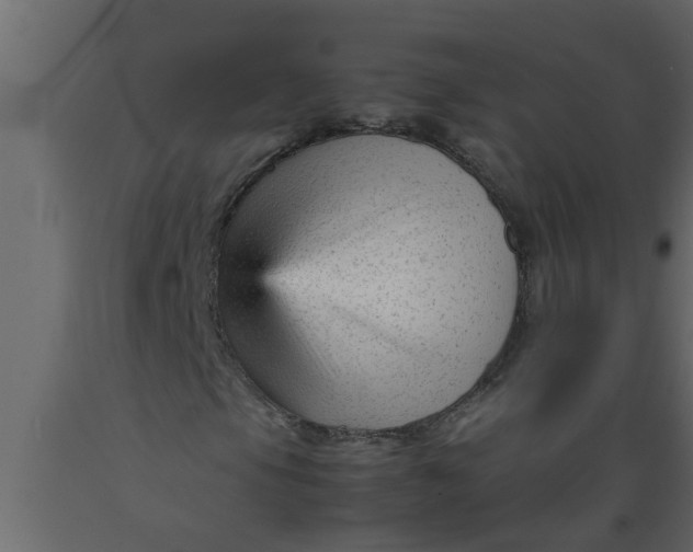 X0000089451105200707061237