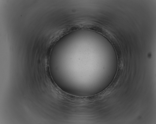 X0000089451108200707061237