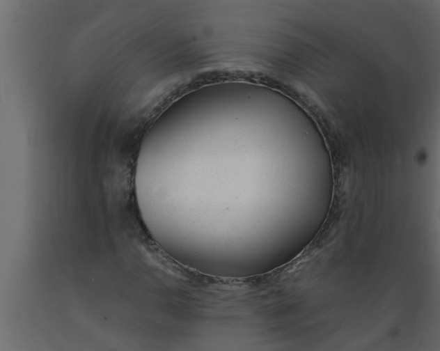 X0000089451110200707061237