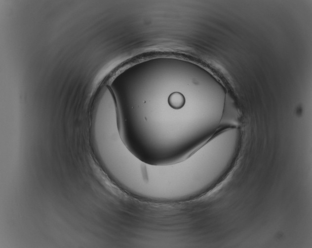 X0000089451114200707061237