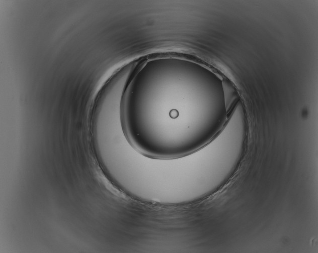 X0000089451116200707061237