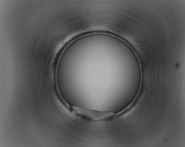 X0000089451118200707061237