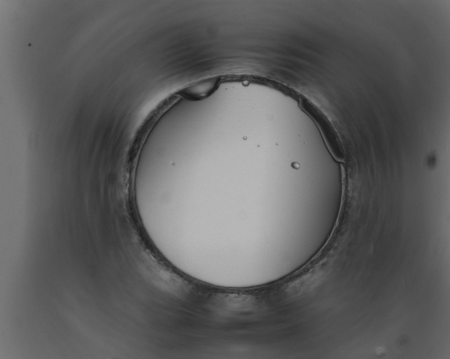 X0000089451119200707061237