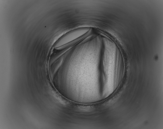 X0000089451121200707061237