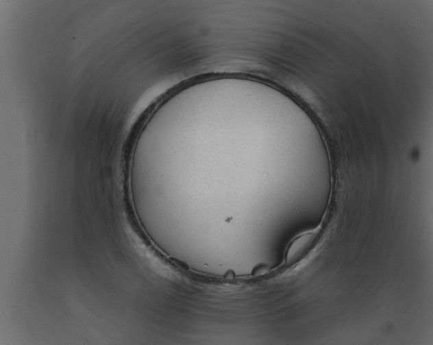 X0000089451122200707061237