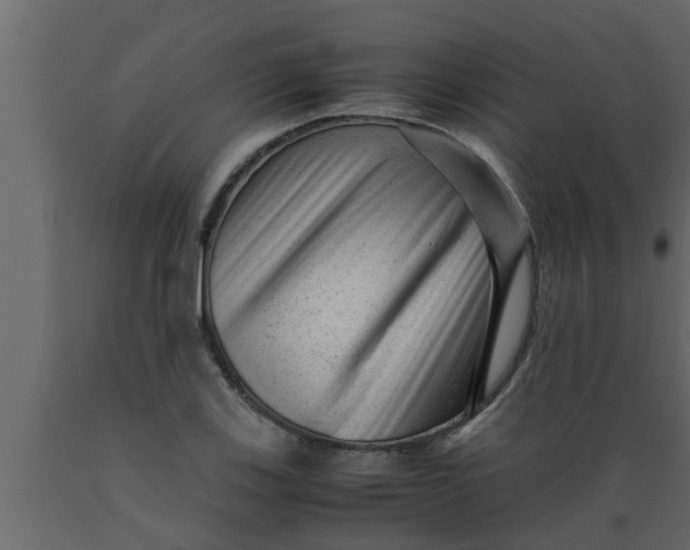 X0000089451123200707061237