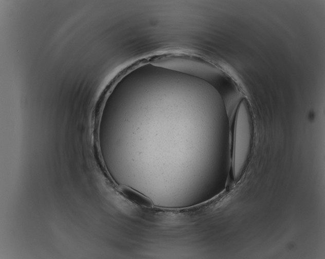 X0000089451124200707061237