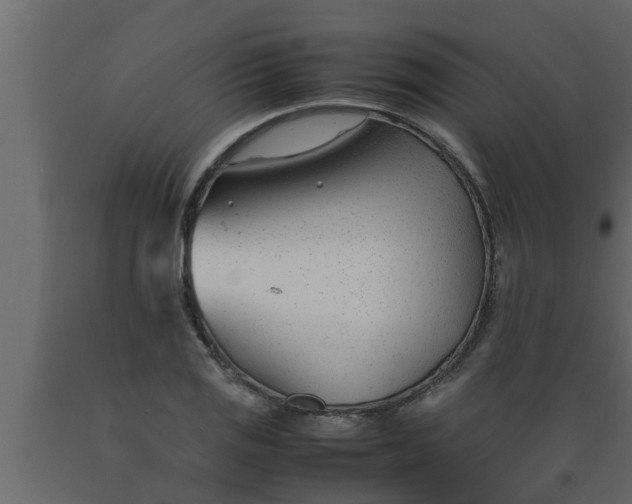 X0000089451125200707061237