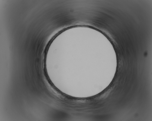 X0000089451126200707061237