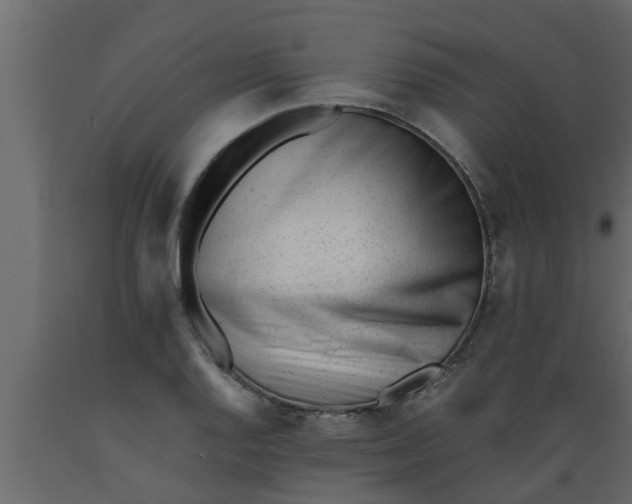 X0000089451128200707061237