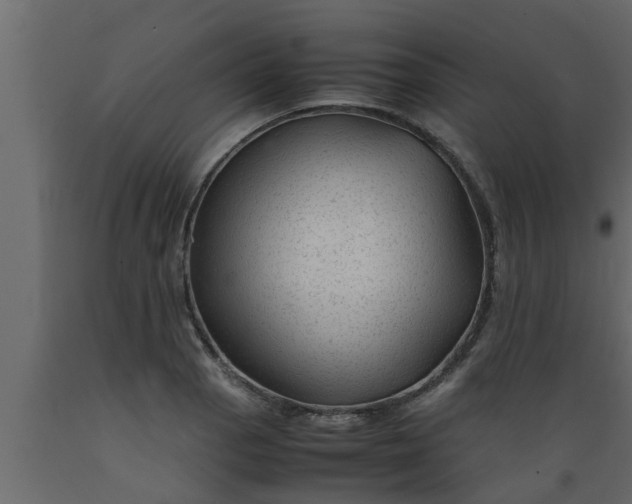 X0000089451129200707061237