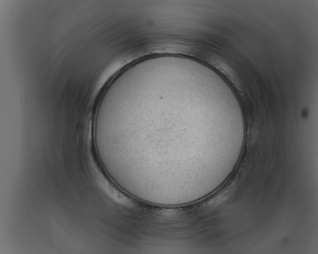 X0000089451130200707061237