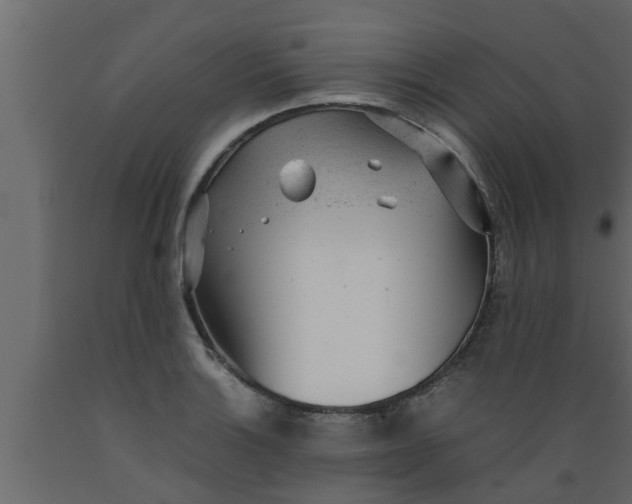 X0000089451132200707061237