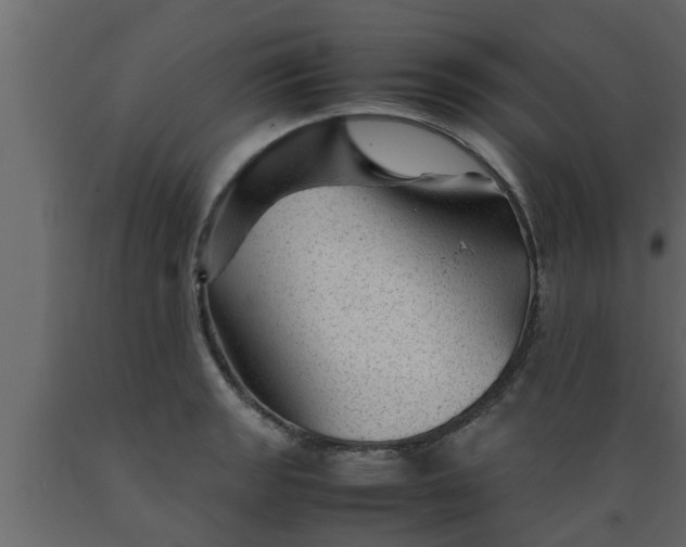 X0000089451133200707061237