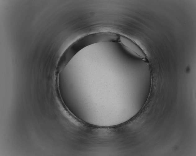 X0000089451134200707061237