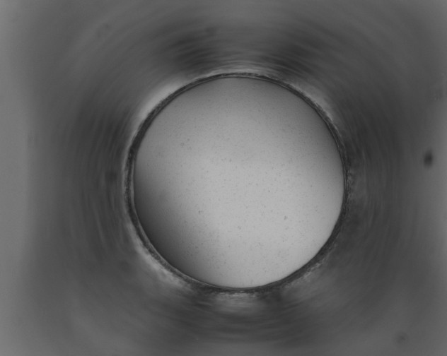 X0000089451135200707061237