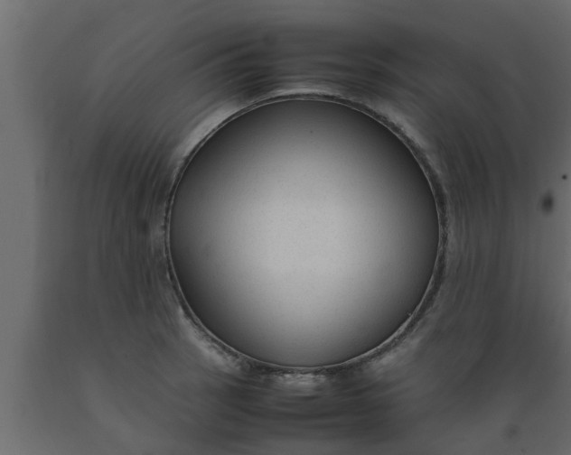 X0000089451137200707061237