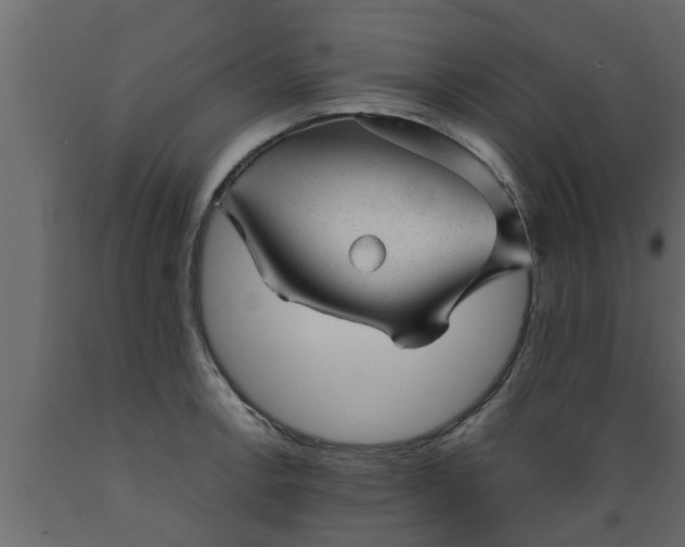 X0000089451138200707061237