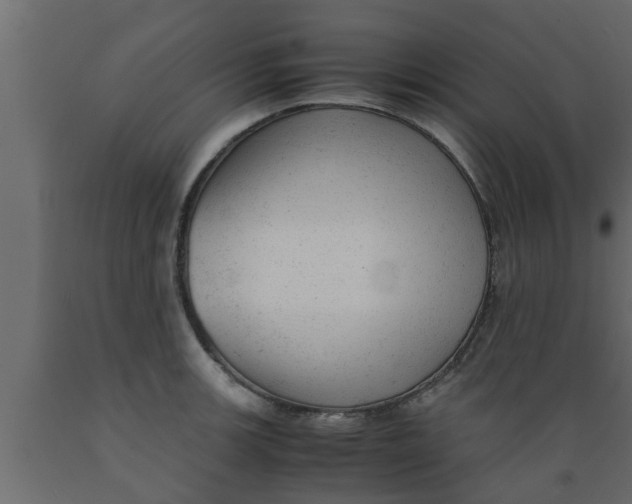 X0000089451139200707061237