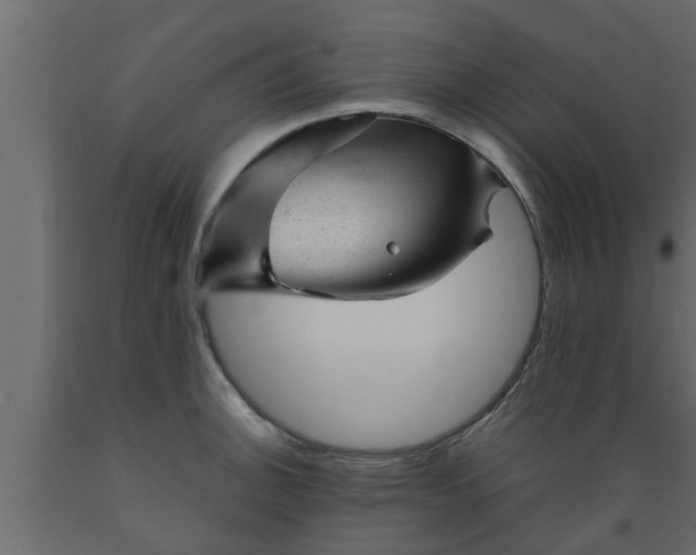 X0000089451140200707061237