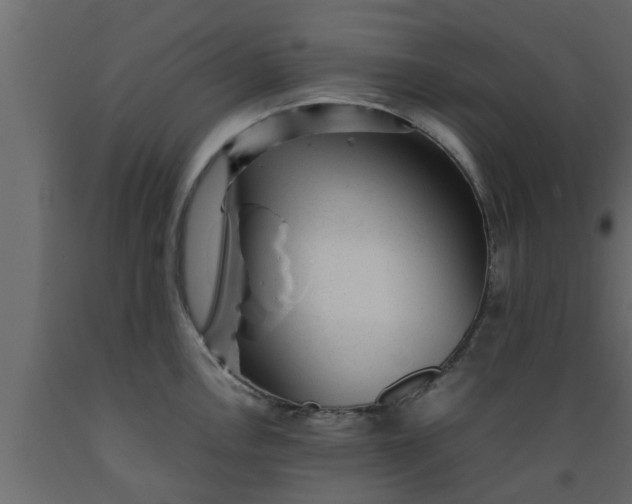 X0000089451146200707061237